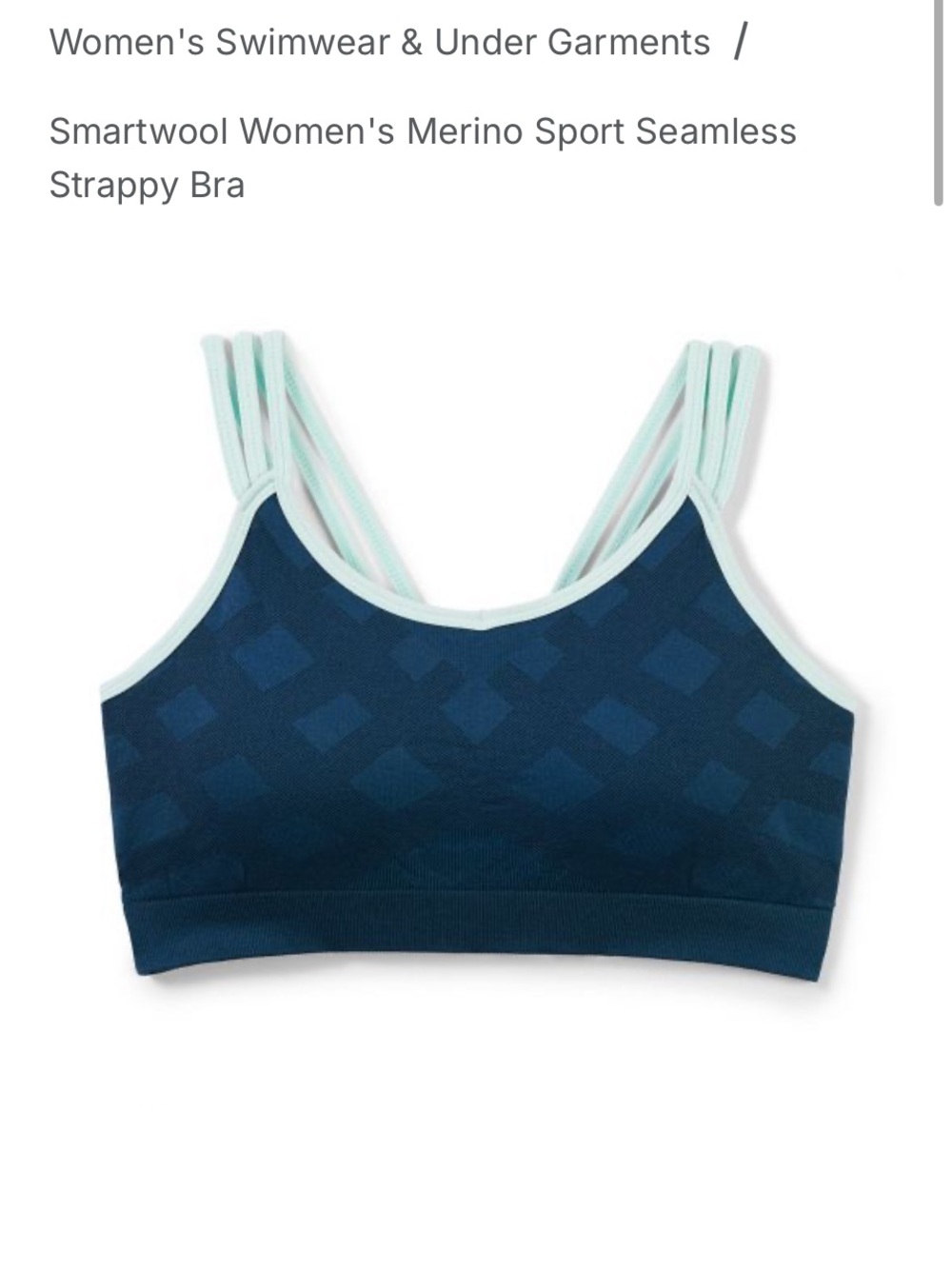 Smartwool Merino Sport
Seamless Strappy Bra size medium no pads